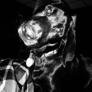 Meet your Posher, Amaya